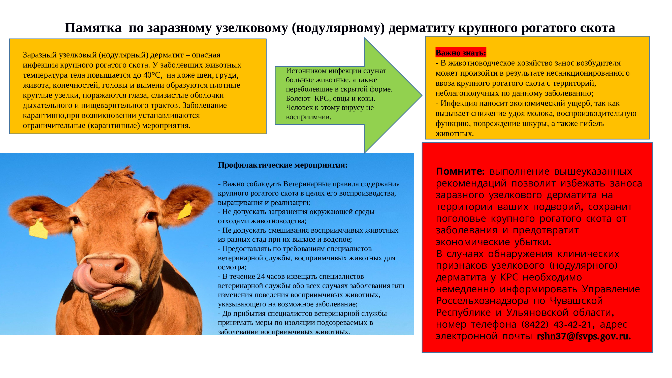 Памятка по заразному узелковому (нодулярному) дерматиту крупного рогатого скота.