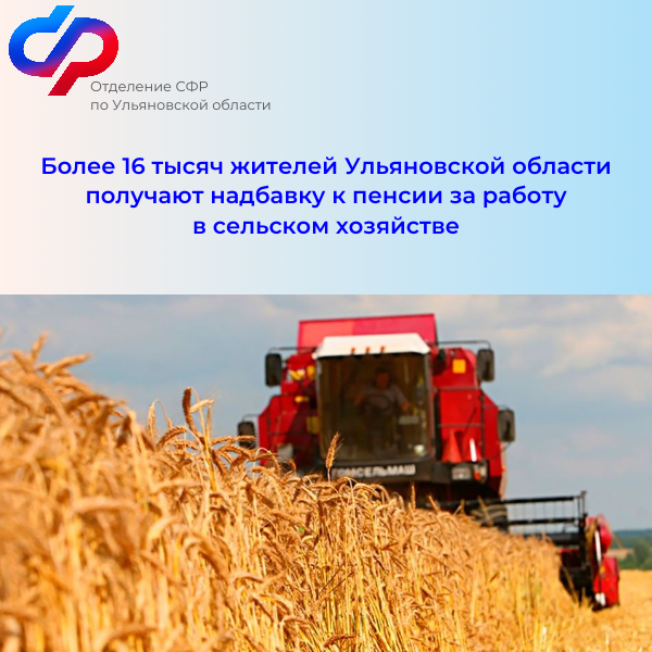 В Ульяновской области 16 799 неработающих пенсионеров получают фиксированную выплату к пенсии в повышенном размере за работу в сельском хозяйстве при условии, если сельский стаж составляет не менее 30 лет..